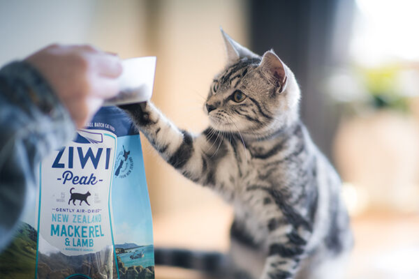 Ziwi Sponsored 1